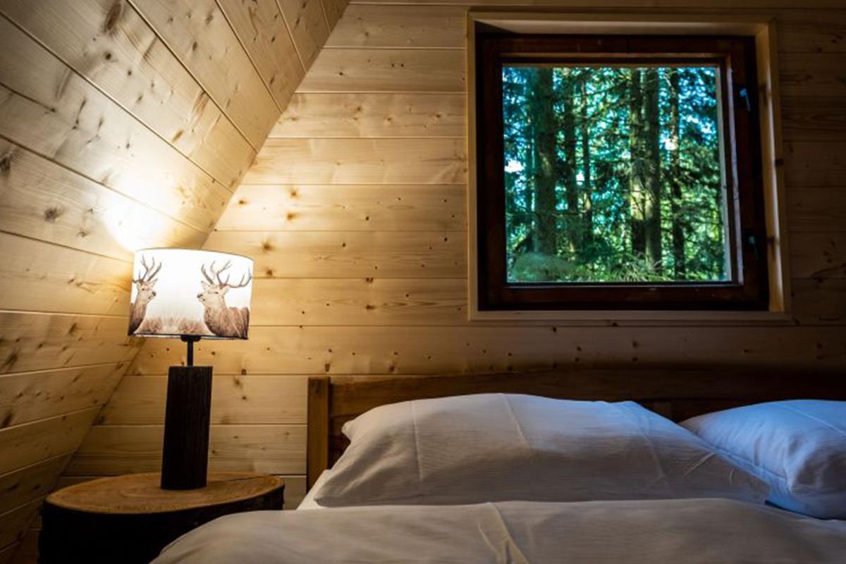 Forest cabins Forest cabins